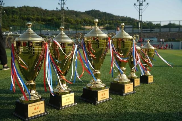 荷兰队今年主场进球已达23个 追平队史最佳纪录